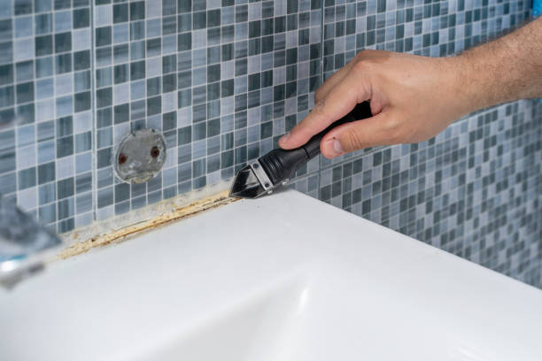 Best Localized Mold Remediation (e.g., coastal areas, humid climates) in Olivehurst, CA